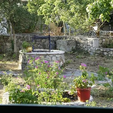 Nyaraló Traditional House